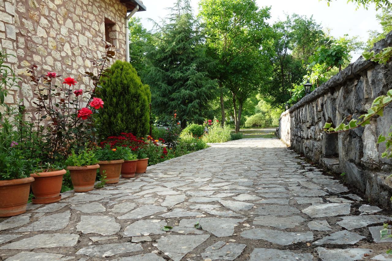 Andrea Sofi Guesthouse Димицана Экстерьер фото
